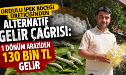 Ordulu ipek böceği üreticisinden alternatif gelir çağrısı: 1 dönüm araziden 130 bin lira gelir
