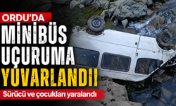 Ordu’da minibüs uçuruma yuvarlandı: Sürücü ve çocukları yaralandı
