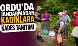 Ordu'da jandarmadan kadınlara KADES tanıtımı