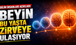 Bilim insanları açıkladı: Beyin bu yaşta zirveye ulaşıyor