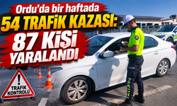 Ordu'da bir haftada 54 trafik kazası: 87 kişi yaralandı