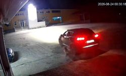 Giresun'da köpeği ezen adam vicdanları yaraladı