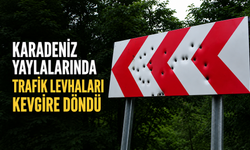 Karadeniz yaylalarında trafik levhaları kevgire döndü