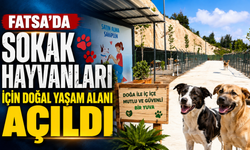 Fatsa’da sokak hayvanları için doğal yaşam alanı açıldı
