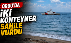 Ordu'da iki konteyner sahile vurdu