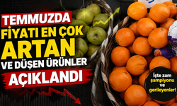 Temmuzda fiyatı en çok artan ve düşen ürünler açıklandı