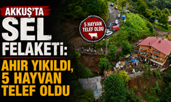 Akkuş’ta sel felaketi: Ahır yıkıldı, 5 hayvan telef oldu