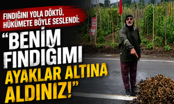 Fındığını yola döktü, hükümete böyle seslendi: “Benim fındığımı ayaklar altına aldınız!”