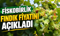Fiskobirlik fındık fiyatını açıkladı
