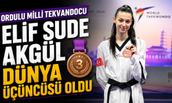 Ordulu milli tekvandocu Elif Sude Akgül dünya üçüncüsü oldu