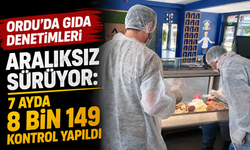 Ordu'da gıda denetimleri aralıksız sürüyor: 7 ayda 8 bin 149 kontrol yapıldı