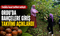 Fındıkta hasat tarihleri netleşti: Ordu'da bahçelere giriş takvimi açıklandı