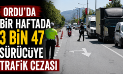 Ordu'da bir haftada 3 bin 47 sürücüye trafik cezası