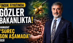 Fındık fiyatında gözler Bakanlıkta: Hamarat "Süreç son aşamada" dedi