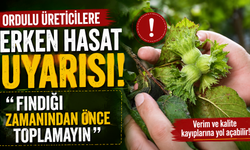 Ordulu üreticilere erken hasat uyarısı: "Fındığı zamanından önce toplamayın"