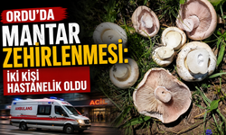 Ordu'da mantar zehirlenmesi: İki kişi hastanelik oldu