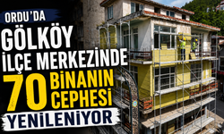 Ordu'da Gölköy ilçe merkezinde 70 binanın cephesi yenileniyor