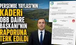 Perşembe Yaylası'nın kaderi OBB Daire Başkanı'nın yanlış raporuna terk edildi