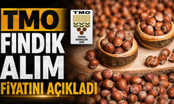 TMO fındık alım fiyatını açıkladı