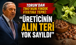 Torun'dan TMO'nun fındık fiyatına tepki: "Üreticinin alın teri yok sayıldı"