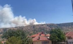 Ankara-Çankırı sınırında orman yangını