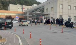 Tokat'ta hayvan otlatma meselesi silahlı kavgaya dönüştü: 2 yaralı