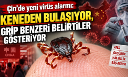 Çin’de yeni virüs alarmı: Keneden bulaşıyor, grip benzeri belirtiler gösteriyor