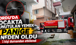 Ordu'da ocakta unutulan yemek paniğe neden oldu: 1 kişi dumandan etkilendi