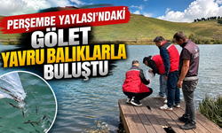 Perşembe Yaylası’ndaki gölet yavru balıklarla buluştu