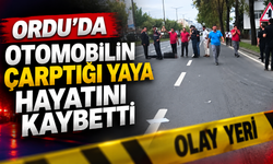 Ordu'da otomobilin çarptığı yaya hayatını kaybetti