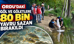 Ordu’daki göl ve göletlere 80 bin yavru sazan bırakıldı