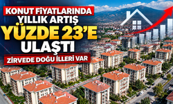 Konut fiyatlarında yıllık artış yüzde 23'e ulaştı: Zirvede doğu illeri var