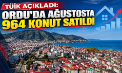 TÜİK açıkladı: Ordu'da ağustosta 964 konut satıldı