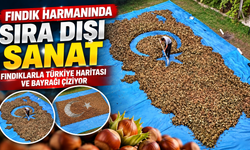 Fındık harmanında sıra dışı sanat: Fındıklarla Türkiye haritası ve bayrağı çiziyor