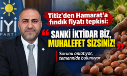 Titiz’den Hamarat'a fındık fiyatı tepkisi:"Sanki iktidar biz, muhalefet sizsiniz! Sorunu anlatıyor, temennide bulunuyor"