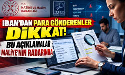 IBAN'dan para gönderenler dikkat: Bu açıklamalar Maliye'nin radarında