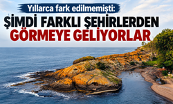Yıllarca fark edilmemişti: Şimdi farklı şehirlerden görmeye geliyorlar