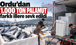 Ordu’dan 1.000 ton palamut farklı illere sevk edildi