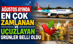 Ağustos ayında en çok zamlanan ve ucuzlayan ürünler belli oldu