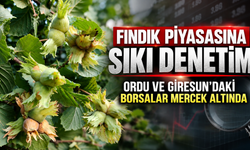Fındık piyasasına sıkı denetim: Ordu ve Giresun’daki borsalar mercek altında