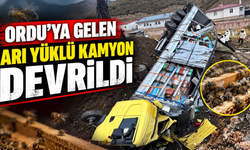 Ordu'ya gelen arı yüklü kamyon devrildi
