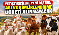 Yetiştiricilere yeni destek: Aşı ve kimliklendirme ücreti alınmayacak
