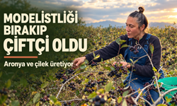 Modelistliği bırakıp çiftçi oldu: Aronya ve çilek üretiyor