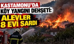 Kastamonu’da köy yangını dehşeti: Alevler 8 evi sardı