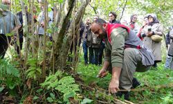 Giresun'da fındıkta verimi artırmak için üreticilere uygulamalı budama eğitimi veriliyor