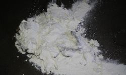 Samsun sahillerine vuran beyaz toz 'guar gum' çıktı: Doğal lif