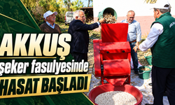 Akkuş şeker fasulyesinde hasat başladı