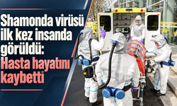 Shamonda virüsü ilk kez insanda görüldü: Hasta hayatını kaybetti