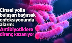 Cinsel yolla bulaşan bağırsak enfeksiyonunda alarm: Antibiyotiklere direnç kazanıyor