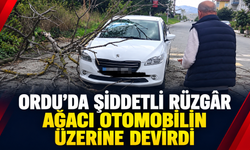 Ordu’da şiddetli rüzgar ağacı Otomobilin Üzerine Devirdi